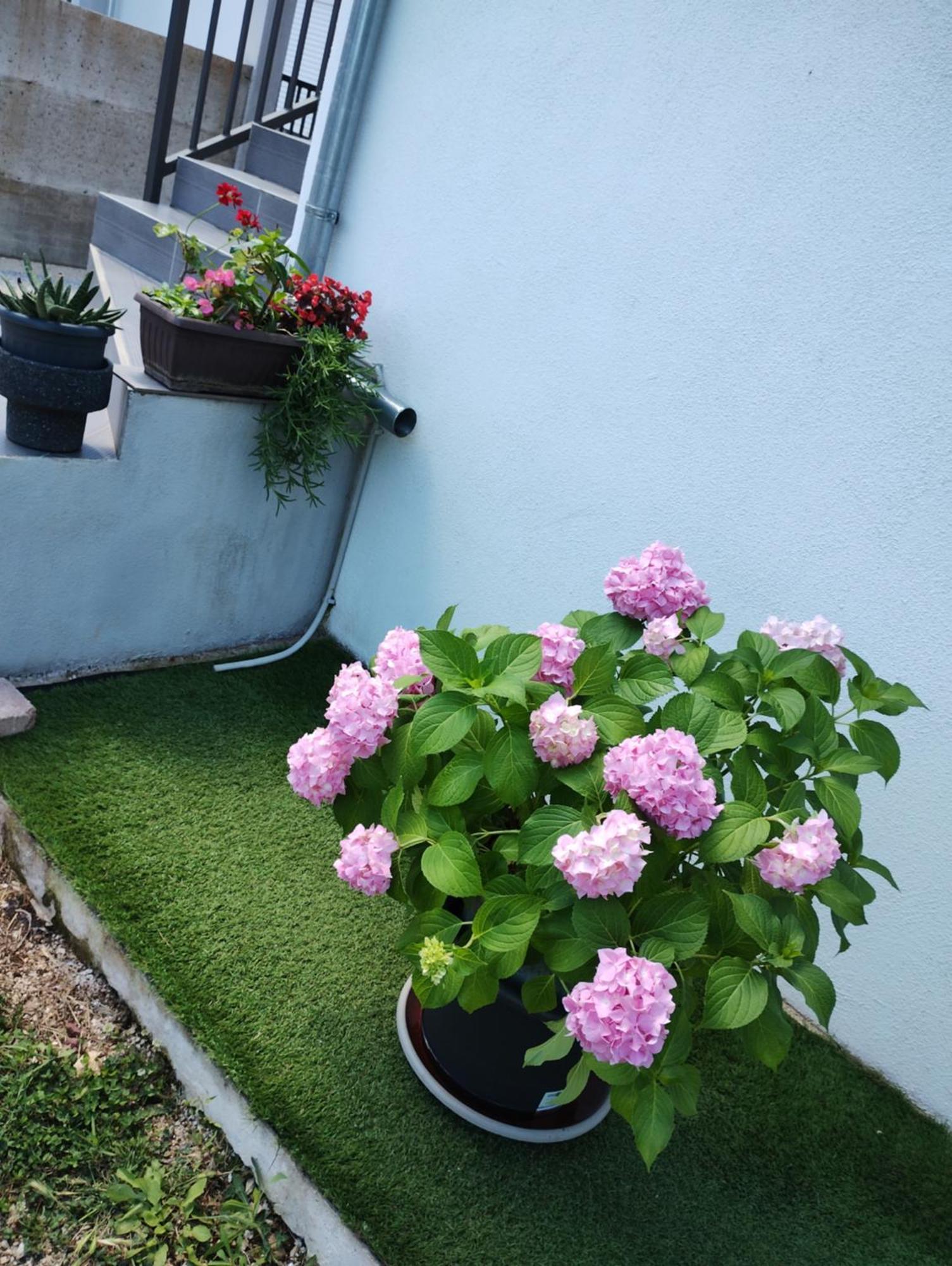 Apartman Enia Murvica  Cameră foto